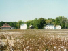 cotton-field-kirk-apartments-out-building-1995-img300